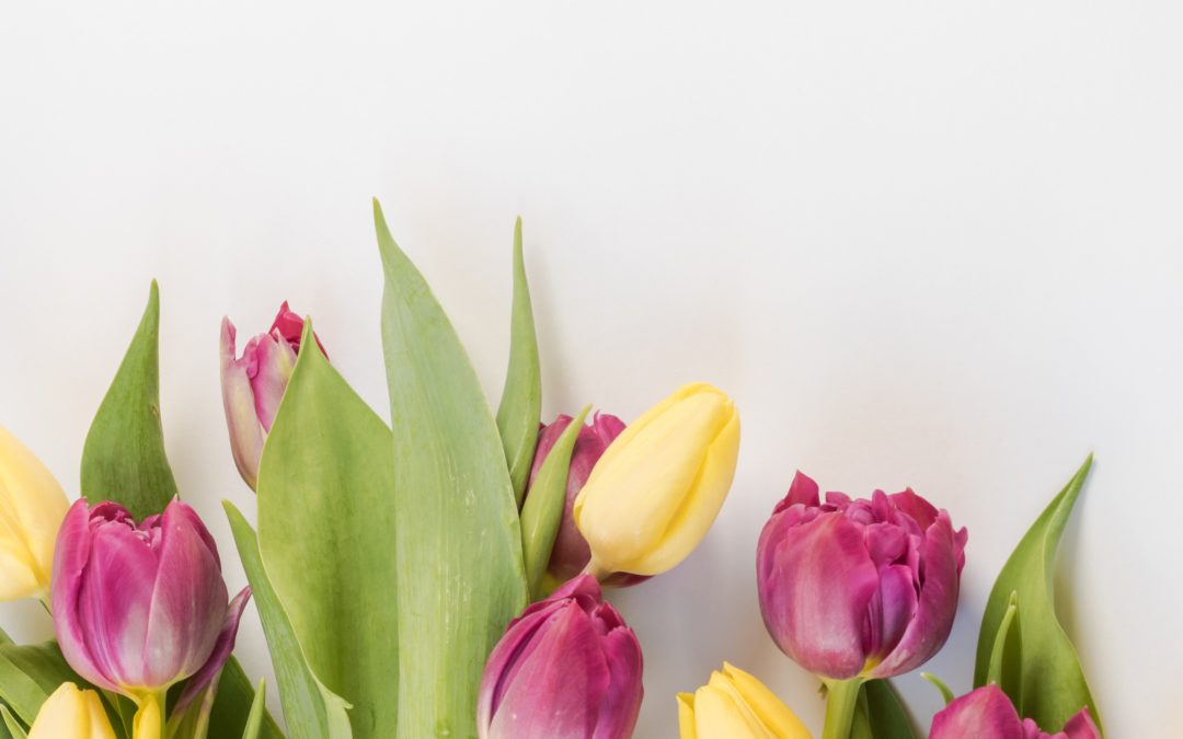 Spring staging tricks to freshen up your home